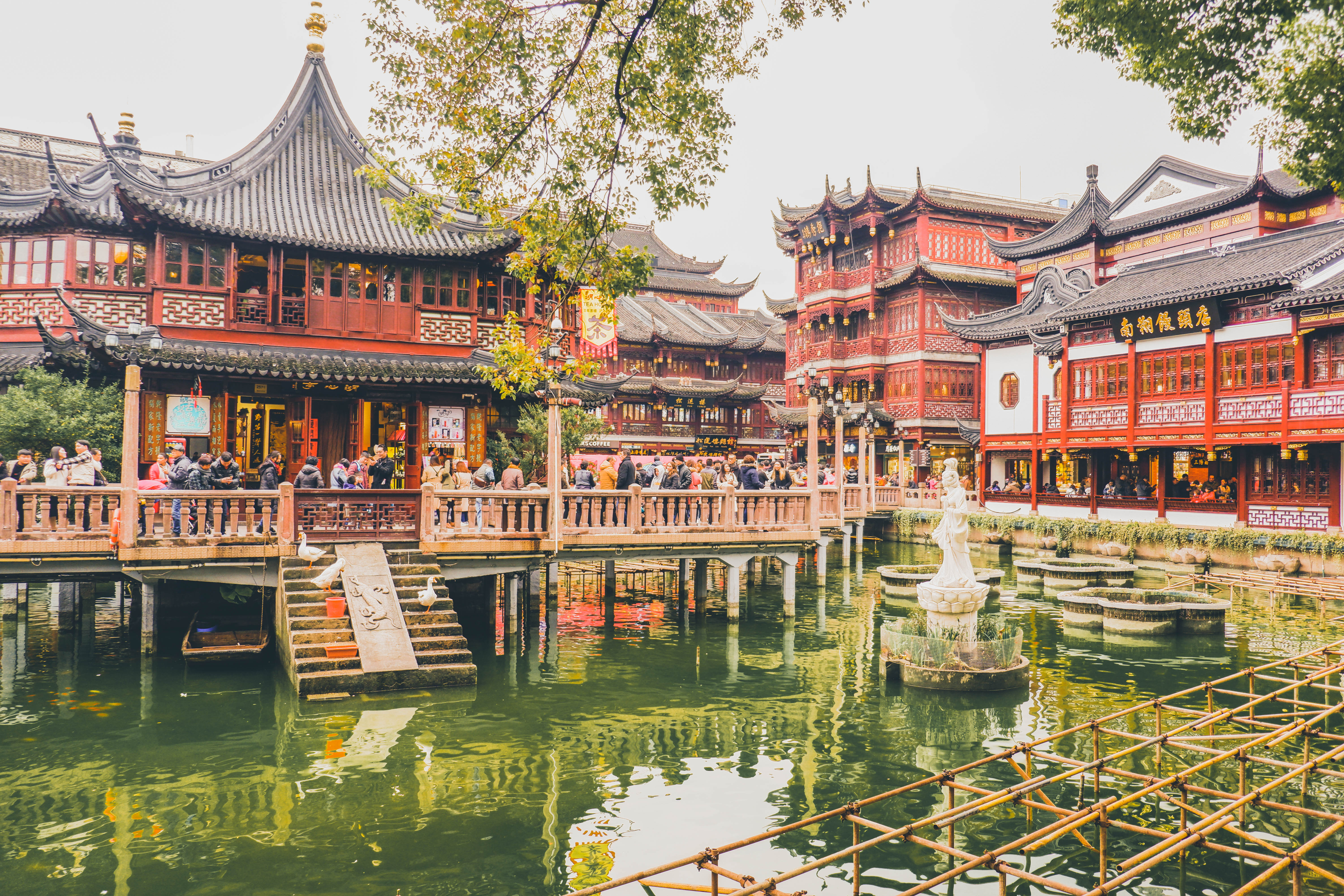 yu garden shanghai chin